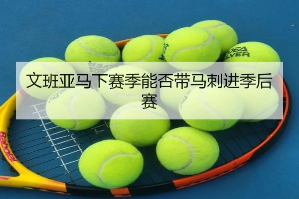 文班亚马下赛季能否带马刺进季后赛