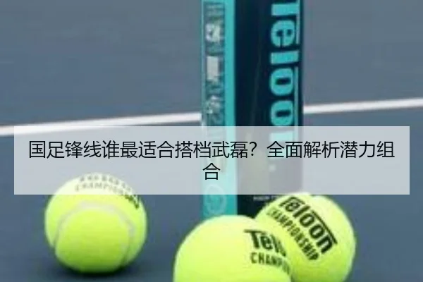 国足锋线谁最适合搭档武磊？全面解析潜力组合